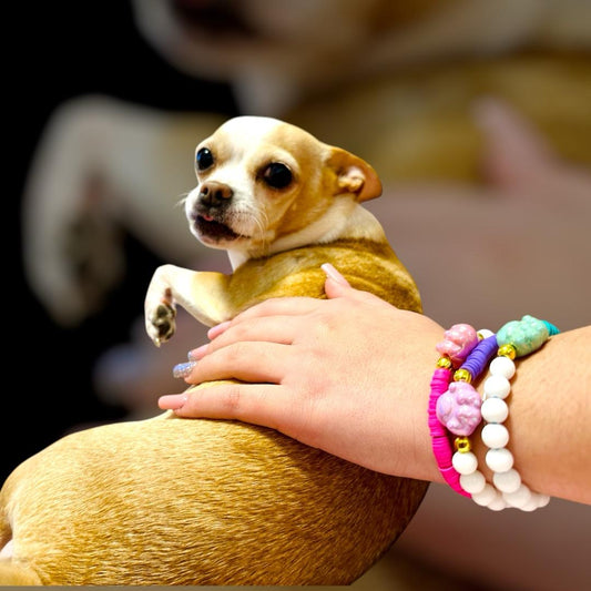 Bracciale LovePet fucsia