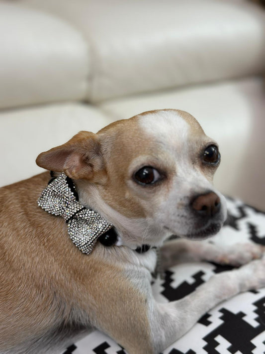 Collarina Love Diamond(Prezzo su richiesta, personalizzabile)