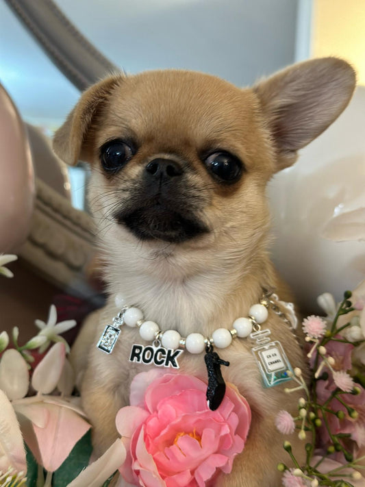 Collarina Luxury White (Prezzo su richiesta, personalizzabile)