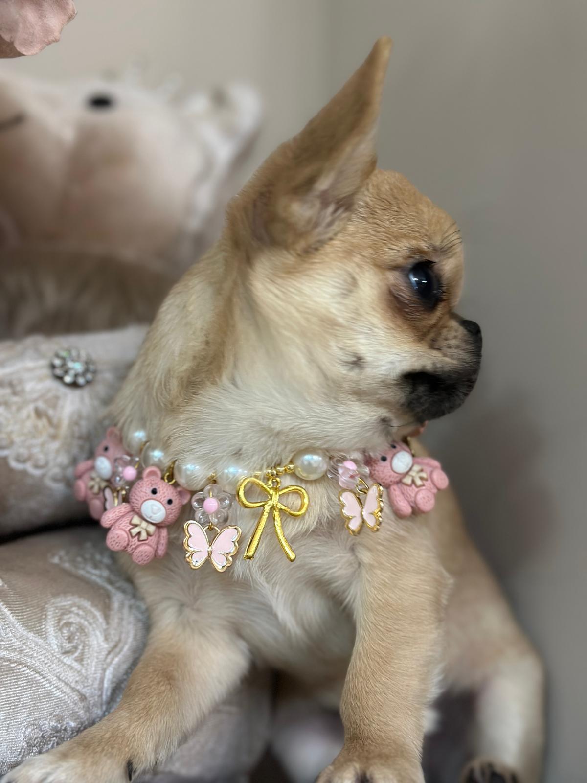 Collarina Teddy Pink (Prezzo su richiesta, personalizzabile)