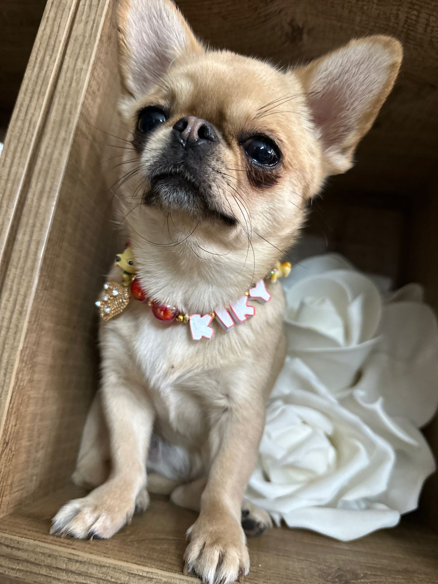 Collari a Personalizzabile