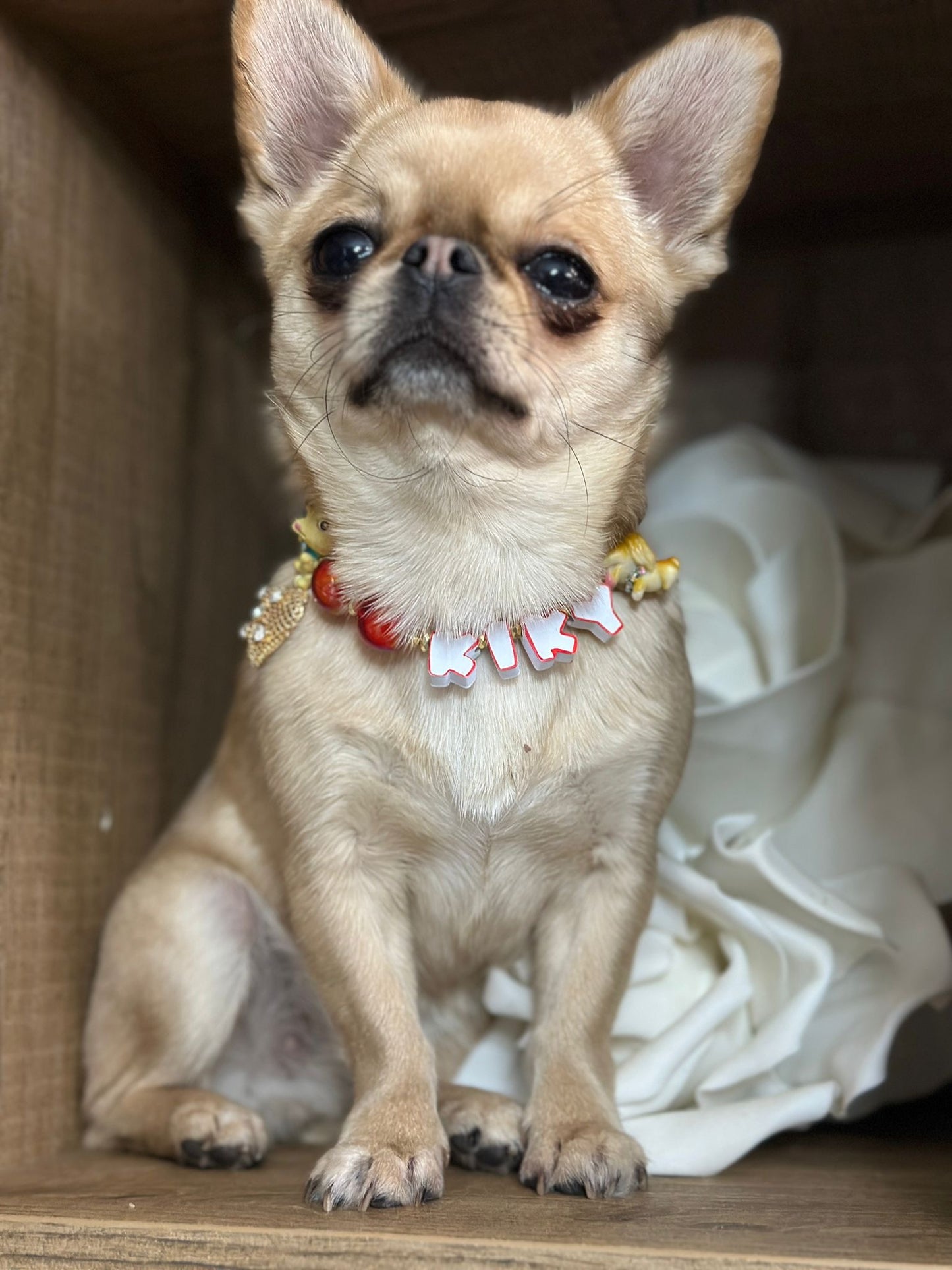 Collari a Personalizzabile