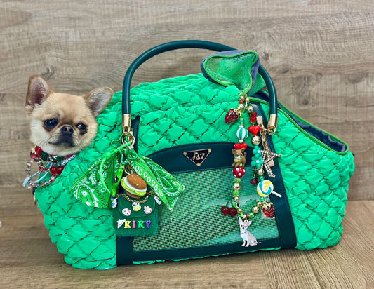 Trasportino Paw Chic Green